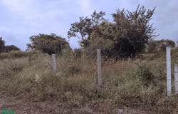 Pedregal Tlalli, Tlayacapan, Morelos, Tlayacapan, Morelos 62540