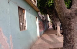 Laguna San Cristóbal 78, Anáhuac I Sección, Miguel Hidalgo, Ciudad de México, Ciudad de Mexico, Ciudad de Mexico 11320