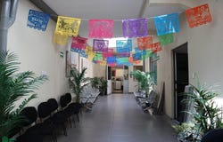 Magdalena 105, Del Valle Norte, Benito Juárez, Ciudad de México, Ciudad de Mexico, Ciudad de Mexico 03103