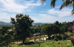 Nayarit, Nayarit