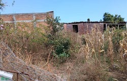 JESUS CARRANZA 58, Tonila, Tonila, Jalisco, Tonila, Jalisco 49840