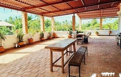 Nayarit, Nayarit
