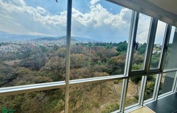 Avenida Toluca 511, Olivar de los Padres, Álvaro Obregón, Ciudad de México, Alvaro Obregon, Ciudad de Mexico 01780