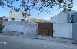 ABEDUL 307, Los Pinos, San Nicolás de los Garza, Nuevo León, San Nicolas de los Garza, Nuevo Leon 66478