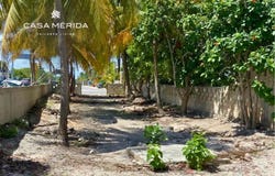 Quince, Progreso, Yucatan 97366