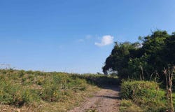Parcela 087 Ejido Comala sn, Real de San Jorge, Villa de Álvarez, Colima, Ciudad de Villa de Alvarez, Colima 28978