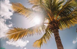 Poniente 29, Tulum, Quintana Roo 77765