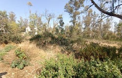 San Andrés 11, Campestre del Lago, Cuautitlán Izcalli, México, Cuautitlan Izcalli, Mexico 54766