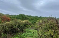 Sobre Brecha, Fracción B Predio Rustico, La Cantera. S/N, Cajititlán, Tlajomulco de Zúñiga, Jalisco, Tlajomulco de Zuniga, Jalisco 45670