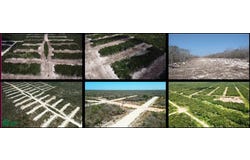LOTE 224 0, Campestre Flamboyanes, Progreso, Yucatán, Progreso, Yucatan 97324