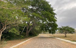 Ex Hacienda la Cañada Calle Don Cayetano Pizano Lote 06, La Cañada, Comala, Colima, Comala, Colima 28450
