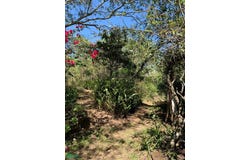 Rancho La Palma 4, Castillo Chico, Xalapa, Veracruz de Ignacio de la Llave, Xalapa, Veracruz 91002