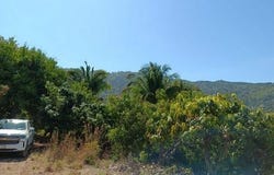 Nayarit, Nayarit