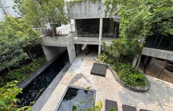 Suchil 159, La Candelaria, Coyoacán, Ciudad de México, Ciudad de Mexico, Ciudad de Mexico 04331
