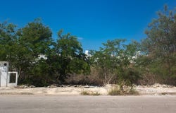 35 B 146, Cholul, Mérida, Yucatán, Merida, Yucatan 97305