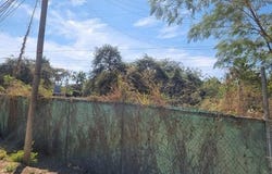 Jalisco, Nayarit