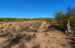 Pesqueira Parcela 6, Pesqueira [Granja Porcícola], San Miguel de Horcasitas, Sonora, San Miguel de Horcasitas, Sonora 83002