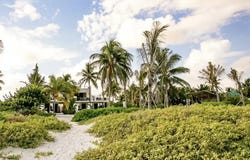 15 LOTE 190, El Cuyo, Yucatan cp97707
