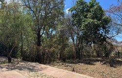Tlahuica s/n, Zacualpan de Amilpas, Zacualpan de Amilpas, Morelos, Morelos 62890