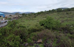 Hacienda Itzicuro, Morelia, Michoacán 58330