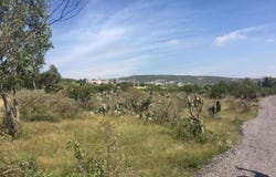 Antigua Hacienda de Miranda, El Marqués, Querétaro 76246