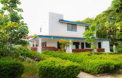 AV. Eugenia, Cuernavaca, Morelos 62350