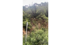 SAN MICHELLE, Monterrey, Nuevo Leon 64989