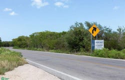 Chcixulub N/A, Mérida Centro, Mérida, Yucatán, Merida, Yucatan 97330