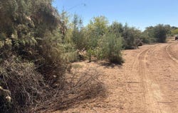Buehurocahui Sindicatura Central de Mochicahui, Mochicahui, El Fuerte, Sinaloa, Sinaloa 81890