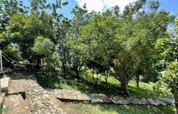 Calle Libertad 58, Ixtlahuacán de los Membrillos Ctro, Guadalajara, Jalisco, Guadalajara, Jalisco 45850