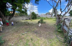 Av Jorge Murad Macluf 238, San Baltazar Tetela, Puebla, Puebla, Puebla, Puebla 72960