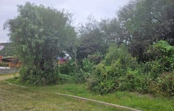 Lote. 17 Mz, 25 Loma del Tesoro S/N, Presa Escondida, Tepeji del Río de Ocampo, Hidalgo, Tepeji del Rio de Ocampo, Hidalgo 42851