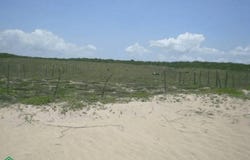 SN 09, La Gloria, Tomatlán, Jalisco, Tomatlan, Jalisco 48455