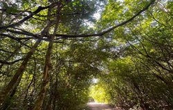 Quintana Roo, Quintana Roo