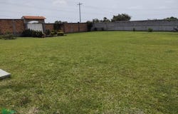 Camino Real Los Reyes, Tlayacapan, Morelos, Tlayacapan, Morelos 62540