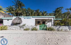 9R3H+H5, 97424 San Crisanto, Yuc., Mexico, San Crisanto, Yucatan 97424