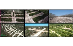 LOTE 223 0, Campestre Flamboyanes, Progreso, Yucatán, Progreso, Yucatan 97324