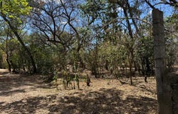 Tlahuica s/n, Zacualpan de Amilpas, Zacualpan de Amilpas, Morelos, Morelos 62890