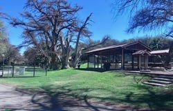 Paseo del Aguila 3, El Edén, Aguascalientes, Aguascalientes, Aguascalientes, Aguascalientes 20293