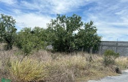 Pirul 7, Valle de Salinas, Salinas Victoria, Nuevo León, Salinas Victoria, Nuevo Leon 65533