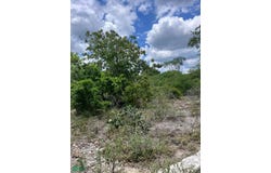 Tablaje 31547 31547, San Ignacio, Progreso, Yucatán, Progreso, Yucatan 97334
