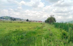 LA VENTA 100, Paseos San Martín, Toluca, México, Toluca, Mexico 50285