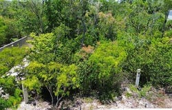 Quintana Roo, Quintana Roo
