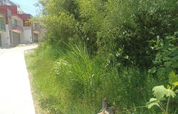 Camino Santa Rosa S/N Lt 39, Lomas Verdes, Xalapa, Veracruz de Ignacio de la Llave, Xalapa-Enriquez, Veracruz 91098