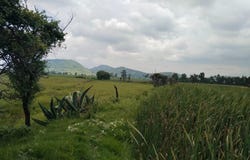 LA VENTA 100, Paseos San Martín, Toluca, México, Toluca, Mexico 50285