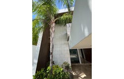 -, Mérida, Yucatan 97302