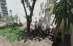 Nublado 220, Vista Del Sol 1a Secc., Aguascalientes, Aguascalientes, 20266, Aguascalientes, Aguascalientes 20266