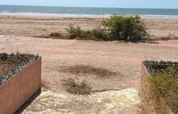Nayarit, Nayarit