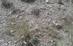 C. S/N Fracción de terreno, Agricola Bella Vista. S/N (TERRENO A), Guadalupe Libertad (Río Valiente), Tlachichuca, Puebla, Puebla 75052