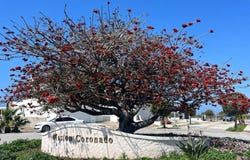 Paseo Real 7624, Bajamar, Ensenada, Baja California, 22760, Ensenada, Baja California 22760